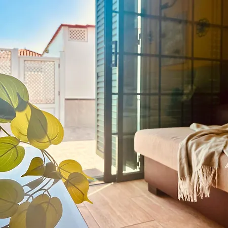 Click&guest - Tropical Horizon Escape In *